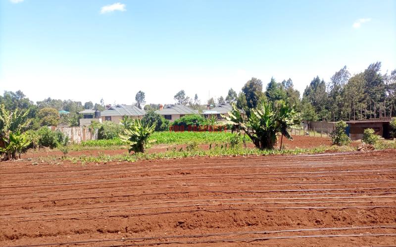 1/2 Acre Land  For Sale In Kikuyu Thogoto