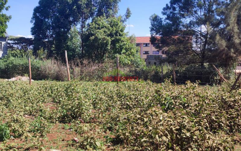 Prime 1/2 Commercial Plot For Sale In Thogoto.