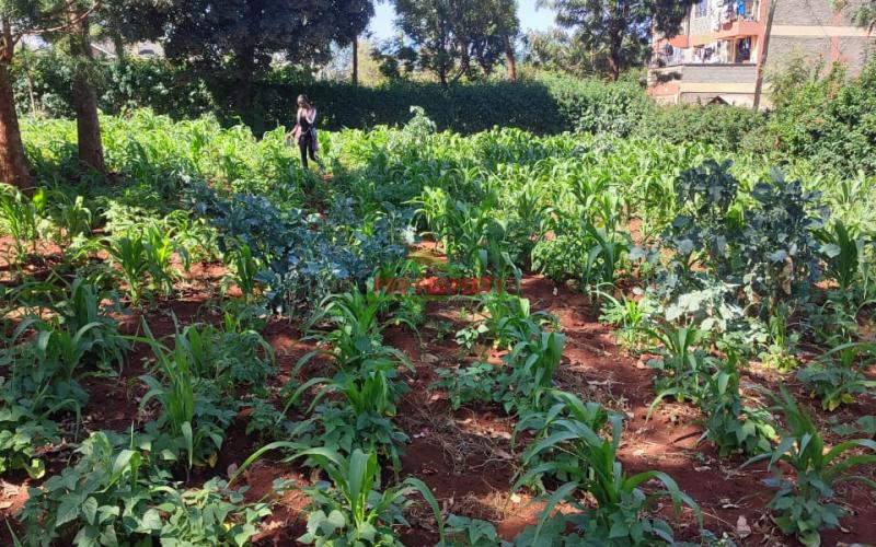 1/4 Acre Commercial Plot For Sale In Thogoto.