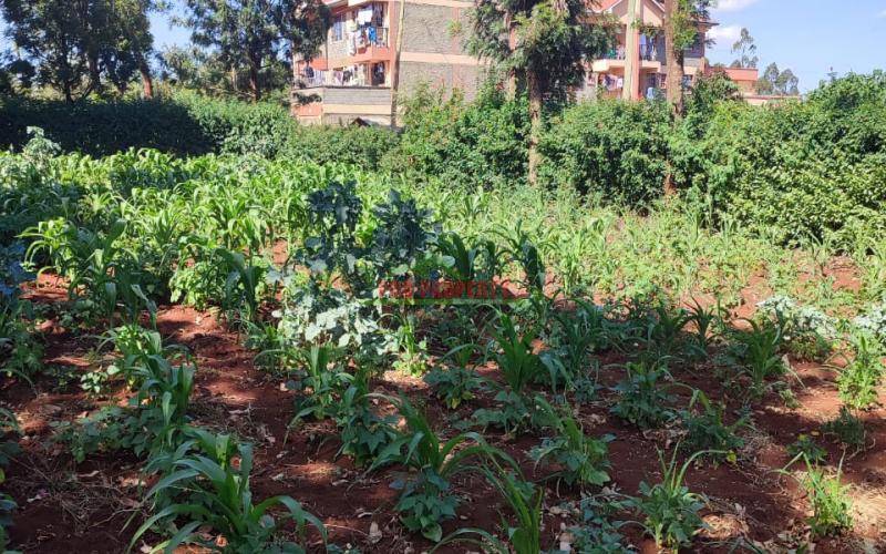 1/4 Acre Commercial Plot For Sale In Thogoto.