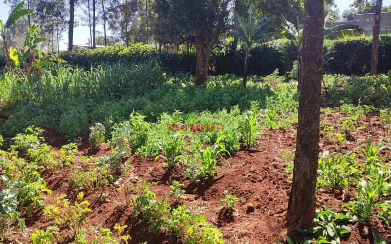 1/4 Acre Commercial Plot for sale in Thogoto.