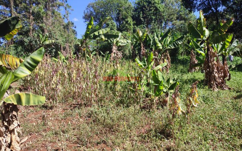 Prime 1/4 Acre Commercial Plot In Thogoto