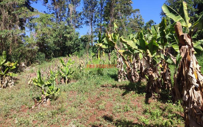 Prime 1/4 Acre Commercial Plot In Thogoto