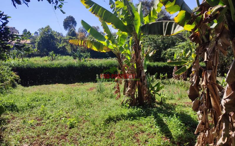 Prime 1/4 Acre Commercial Plot in Thogoto