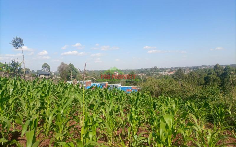 50 By 100ft Commercial Plot For Sale In Kikuyu Thogoto