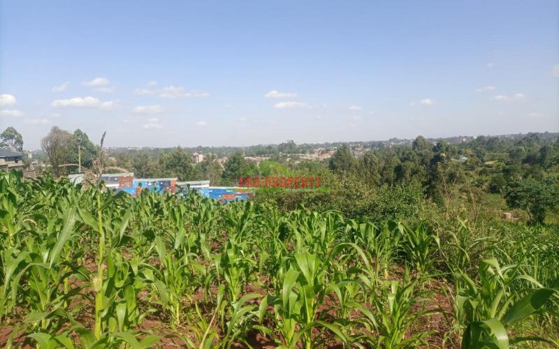 50 By 100ft Commercial Plot For Sale In Kikuyu Thogoto