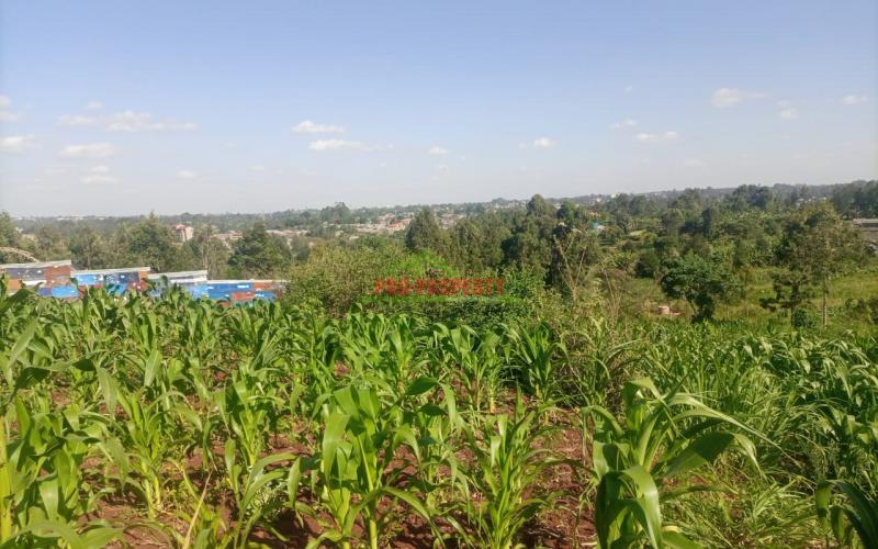 50 By 100ft Commercial Plot For Sale In Kikuyu Thogoto