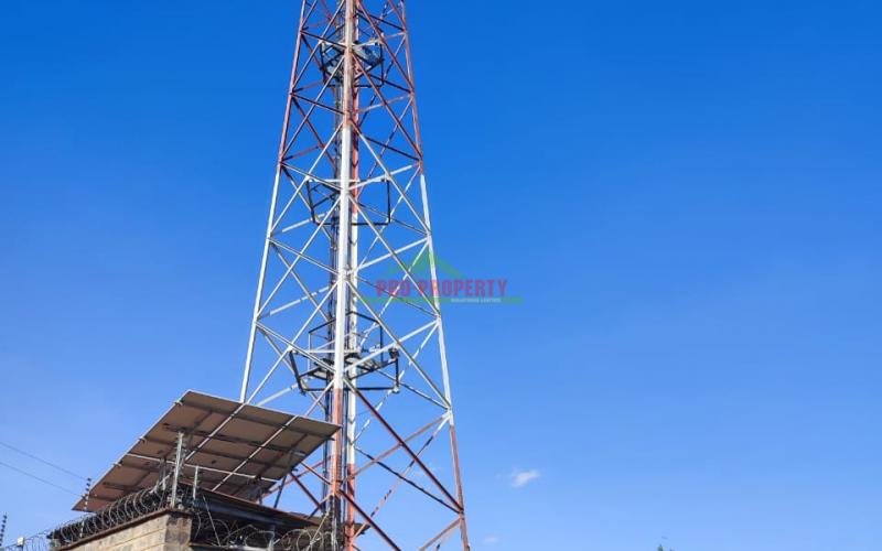 Prime 50 By 100ft Commercial Plot In Thogoto