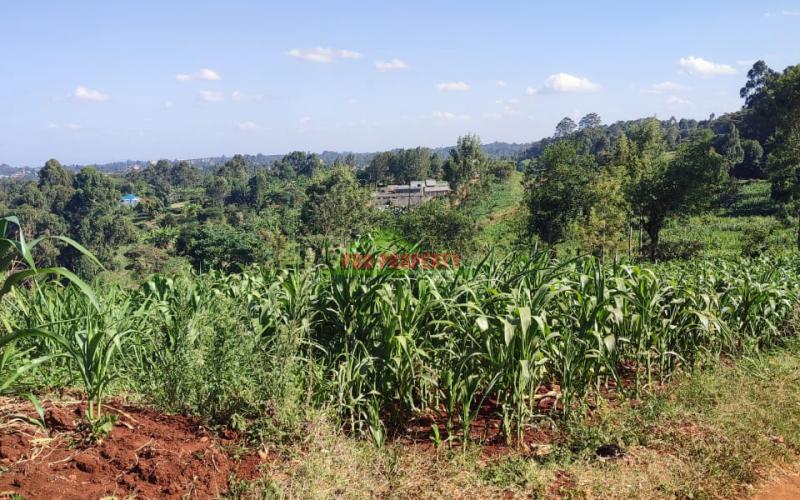 Prime 50 By 100ft Commercial Plot In Thogoto