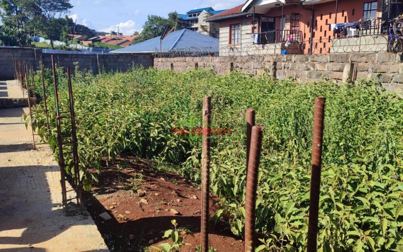 Prime 1/16 Acre Plot For Sale