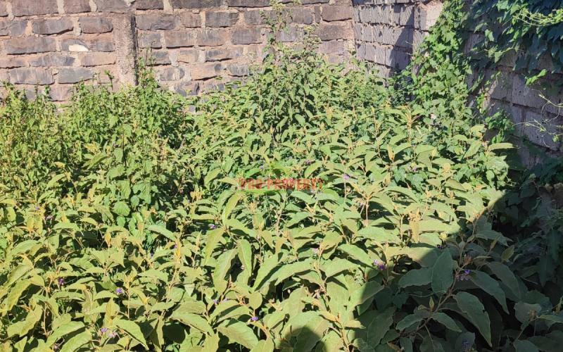 Prime 1/16 acre plot for sale