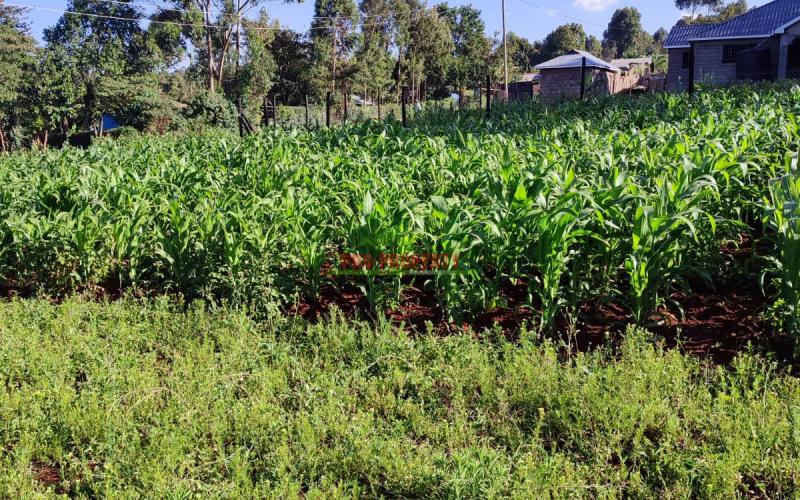 Prime 50 By 100ft Residential Plot In Thogoto