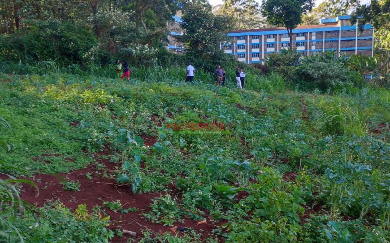 Prime 50 By 100ft Commercial Plot For Sale In Thogoto.