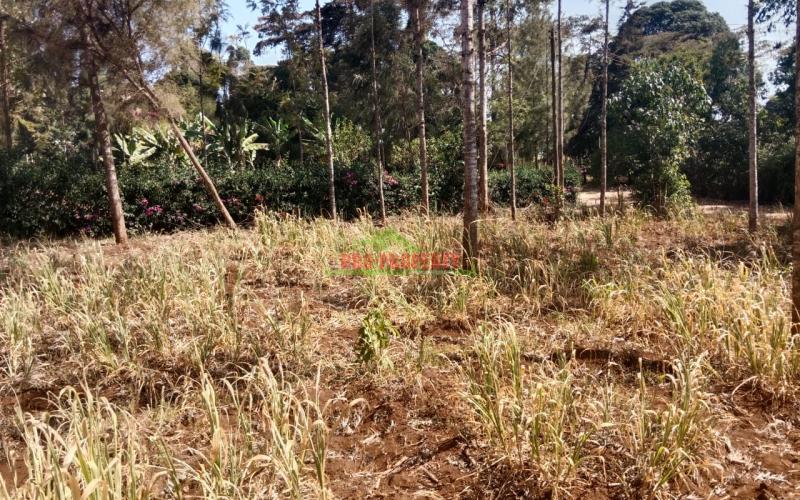 Prime Plot For Sale In Kikuyu 3.5km From Kikuyu Township