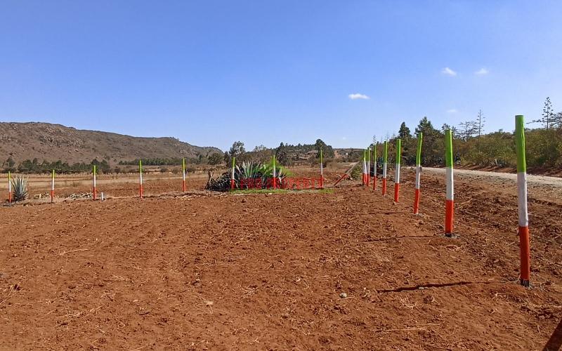 Prime Plots At Kikuyu - Kamangu-nachu (plains View)