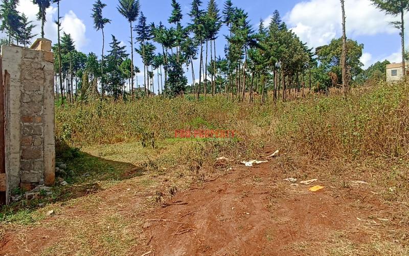 Prime Plot In Kikuyu-ondiri