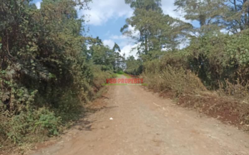 Prime plot in Kikuyu-Ondiri