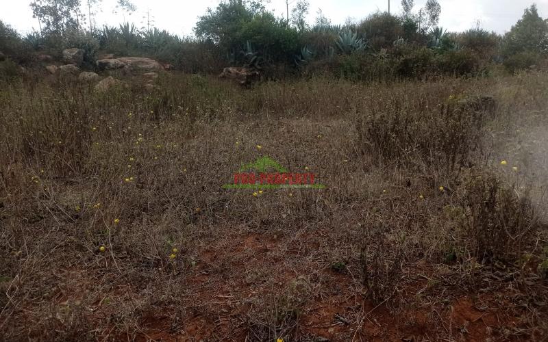 Prime Property In Kamangu Lusigetti