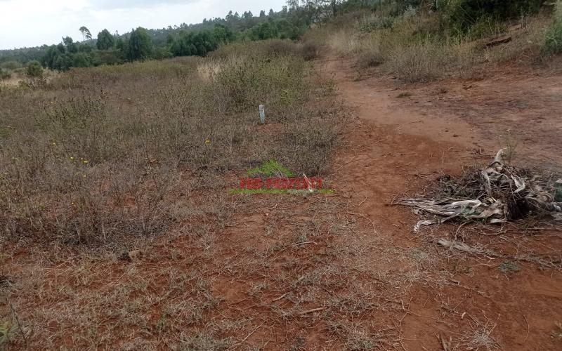 Prime Property In Kamangu Lusigetti