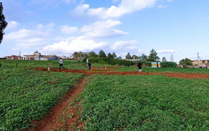 Properties For Sale In Kikuyu Kamangu Green View 2