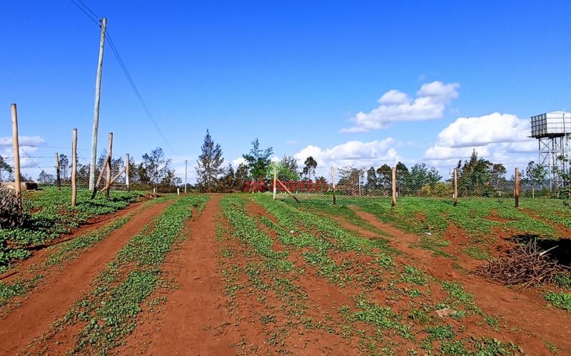 Prime Residential Plots For Sale In Kikuyu,kamangu