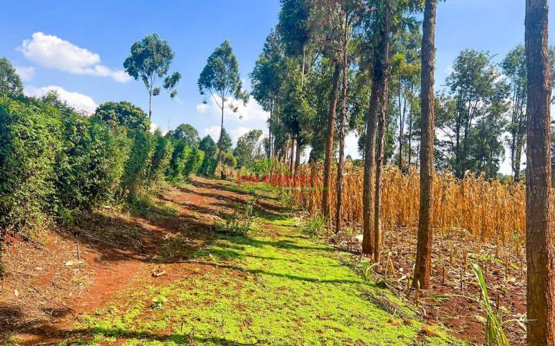 Prime Residential Plot For Sale At Kikuyu Gikambura
