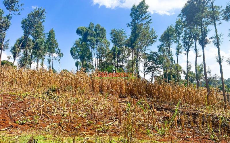 Prime Residential Plot For Sale At Kikuyu Gikambura