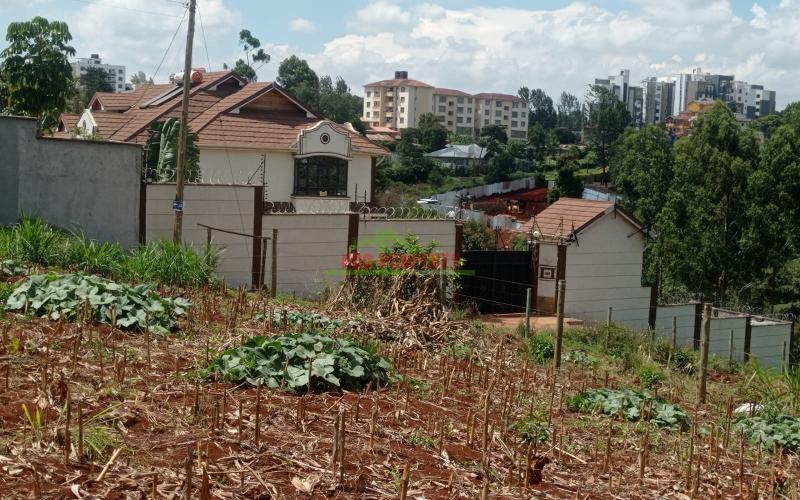 Prime 100*100 plot at lower Kabete