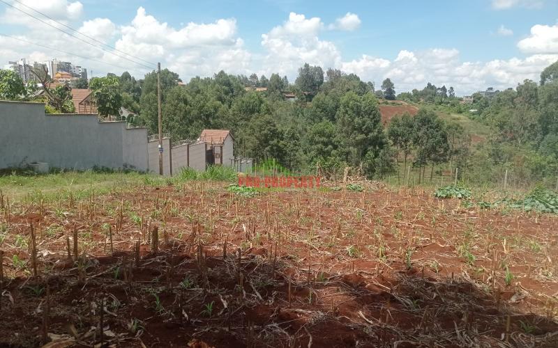 Prime 50*100 Plot For Sale In Kikuyu Ondiri