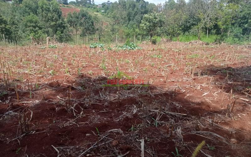 Prime 100*100 Plot At Lower Kabete
