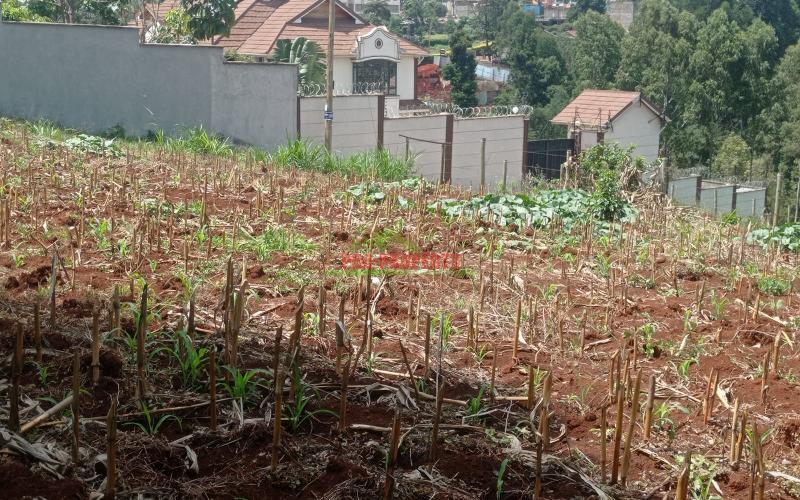Prime 50*100 Plot For Sale In Kikuyu Ondiri