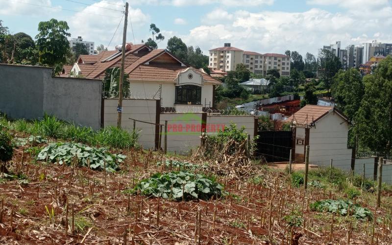 Prime 100*100 Plot At Lower Kabete