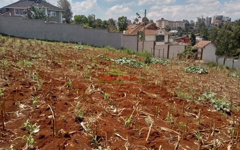 Prime residential plots for sale in lower kabete