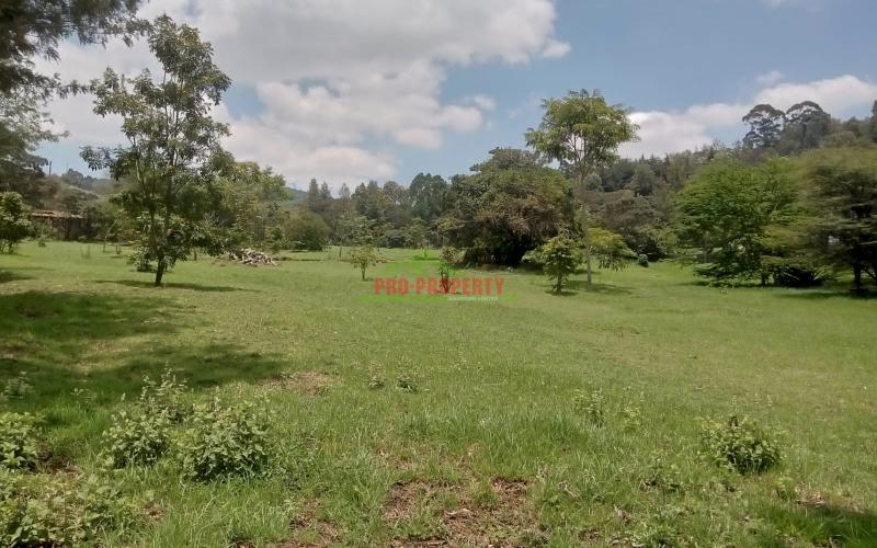 Prime Residential Plots In Ngong