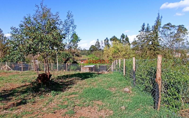 Prime 50*100 Plots In Kikuyu Kamangu