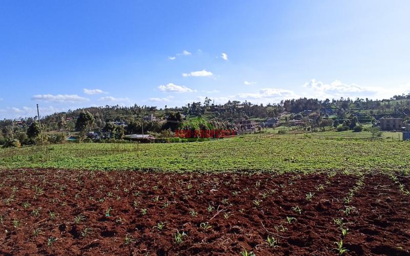 Prime 50*100 Plots In Kikuyu Kamangu