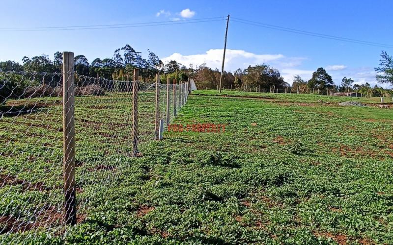 Prime 50*100 Plots In Kikuyu Kamangu