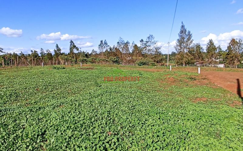 Prime 50*100 Plots In Kikuyu Kamangu