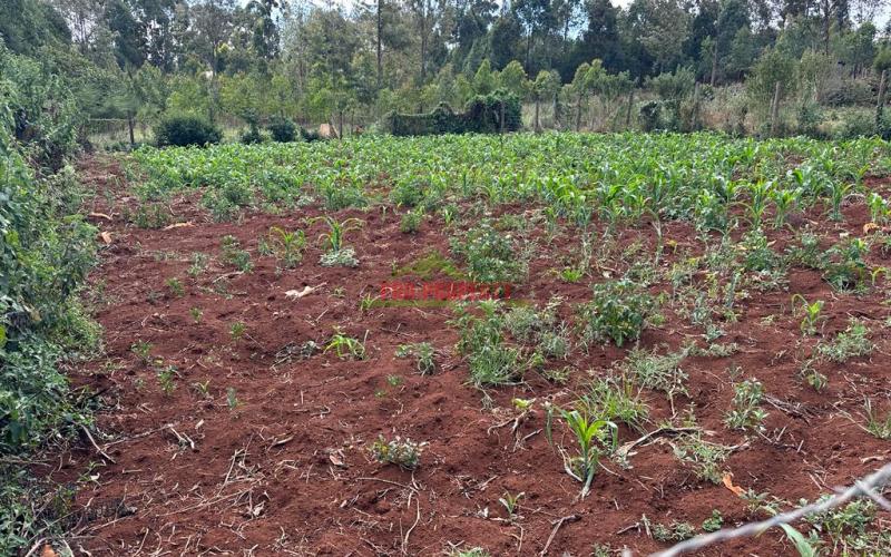 Residential Plot For Sale In Kikuyu, Ondiri