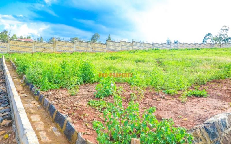 Prime Gated Community 50 By 100 Plots  For Sale In Kikuyu Lusingetti.