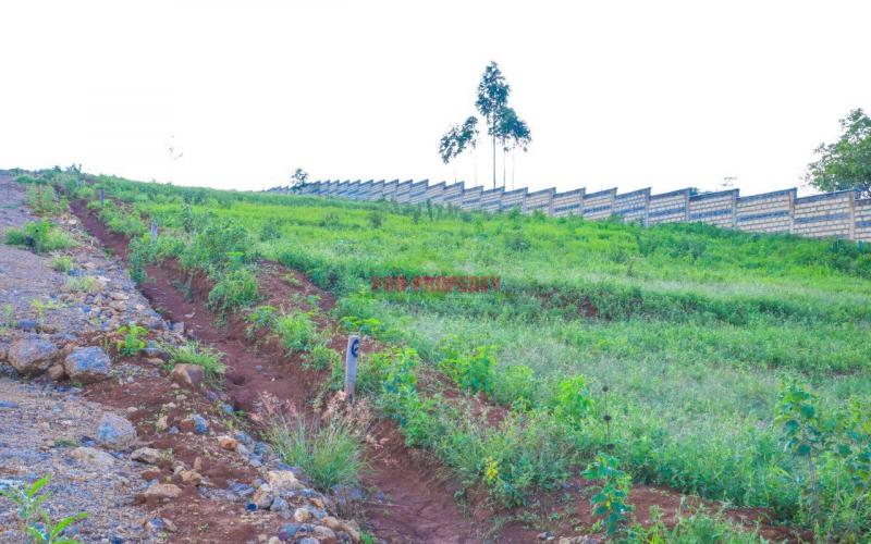 Prime Gated Community 50 By 100 Plots  For Sale In Kikuyu Lusingetti.