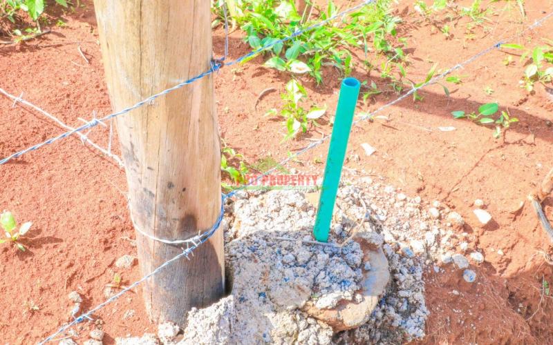 50*100fts Residential Plots For Sale In Kikuyu,karai-migumoini.