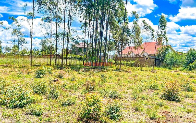 Prime Residential Plots 50 By 100 For Sale In Kikuyu Gikambura.