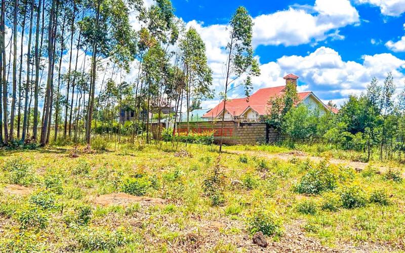 Prime Plots For Sale In Gikambura Kikuyu