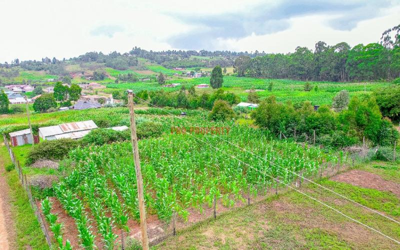 PRIME 50 BY 100 PLOTS FOR SALE IN KIKUYU KAMANGU .