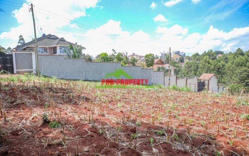 A1 100 By 100ft  Plots For Sale In Lower Kabete