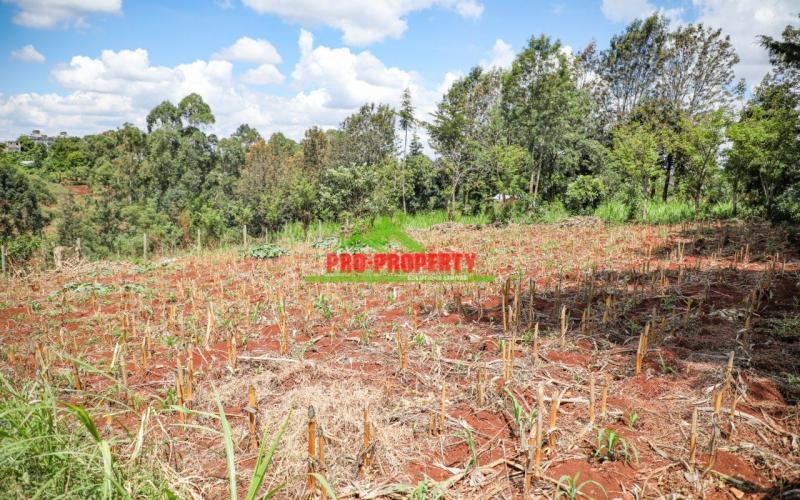 A1 100 By 100ft  Plots For Sale In Lower Kabete