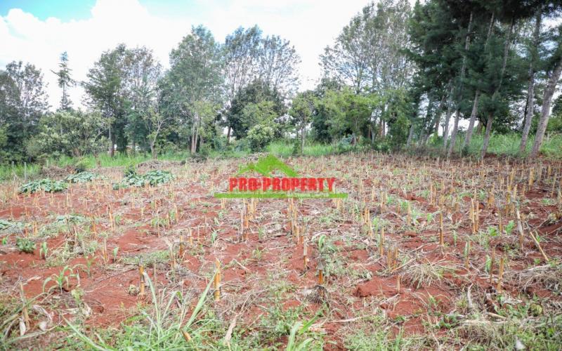 First Class 50 By 100ft Plots For Sale In Lower Kabete