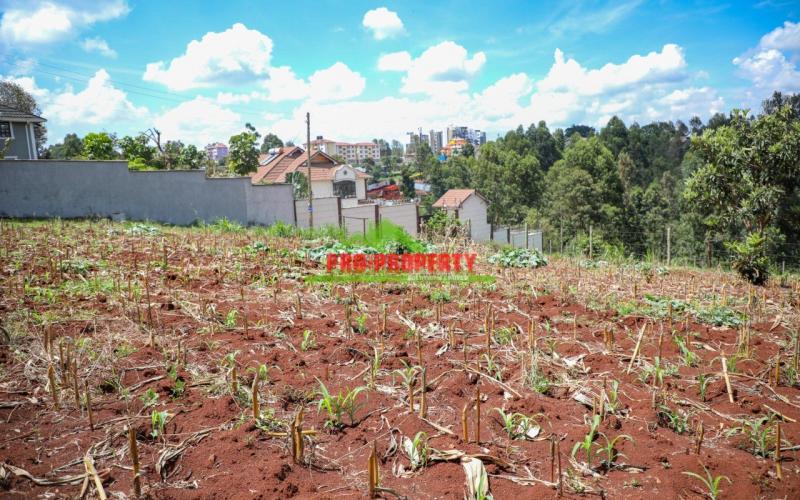 First Class 50 By 100ft Plots For Sale In Lower Kabete