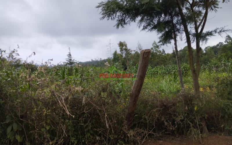 Prime 100 By 100 Residential Plots For Sale In Kikuyu Kamangu.
